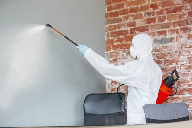 Best Mold Odor Removal Services  in Lake Wazeecha, WI