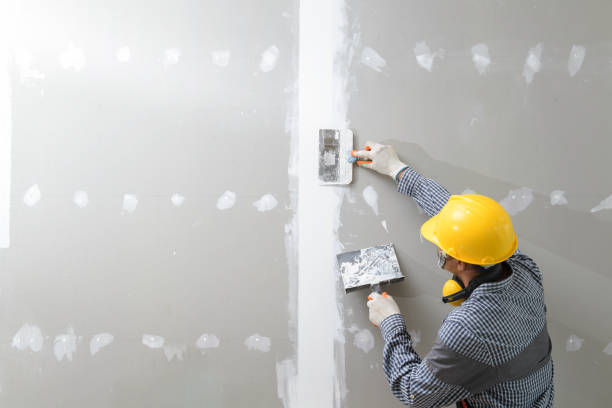 Best Black Mold Removal  in Lake Wazeecha, WI