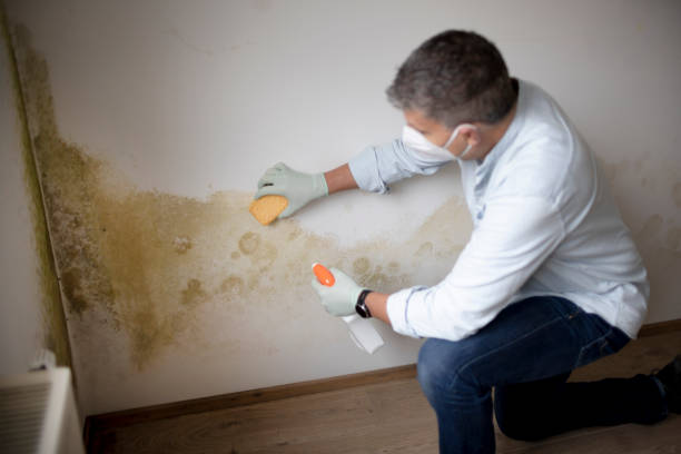 Asbestos and Lead Testing During Mold Inspection in Lake Wazeecha, WI