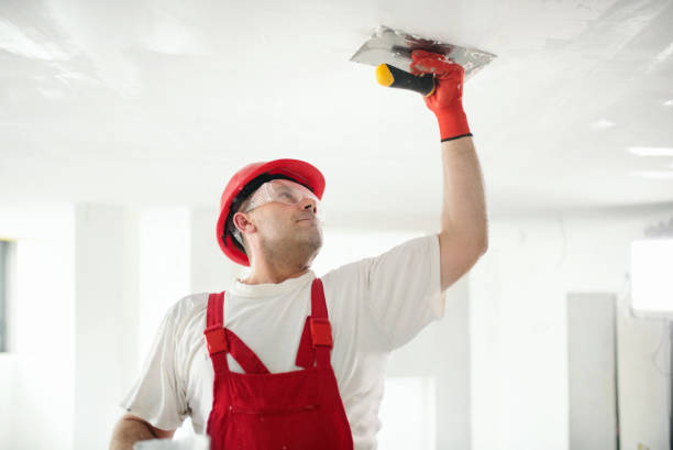 Best Mold Remediation for Healthcare Facilities  in Lake Wazeecha, WI