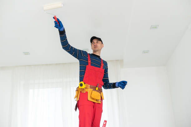 Lake Wazeecha, WI Mold Removal Company