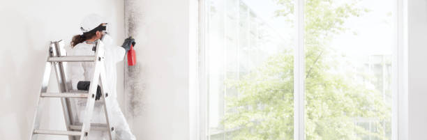 Best Environmental Consulting for Mold Prevention  in Lake Wazeecha, WI