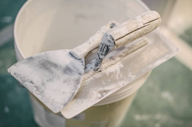 Best Attic Mold Removal  in Lake Wazeecha, WI